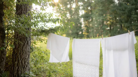 Why Choose Eco-Friendly Dry Cleaning?